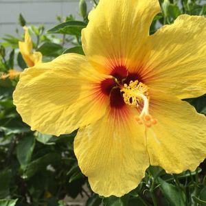 Meet your Posher, Brenda